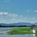 강변장어 이미지