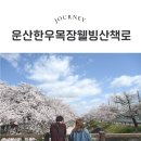 덕산목장 | 서산의 알프스, 해미 인근 운산 한우목장 산책로 다녀온 후기