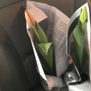 클라라음악학원 이미지