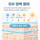비싼 화장품을 사용해도 피부가 좋아지지 않는 이유 이미지
