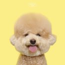모멍트 이미지