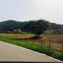 11650-7-2-20 이미지