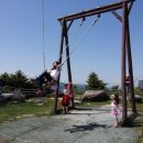 보광목장 이미지