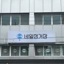 형곡동물병원 | 구미 네일아트 원평동 네일정거장 원톤 젤 솔직후기