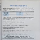 멍발소 하우스 이미지