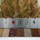 닥터포헤어 케어랩 강남 이미지