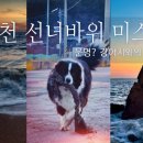선녀와 강아지 이미지