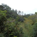 안덕계곡 앞 3 이미지