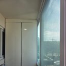 보우근화 이미지