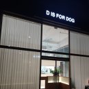 디이즈포독 네이버블로그