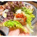 내동축산 네이버블로그