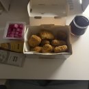 토마토와 고양이