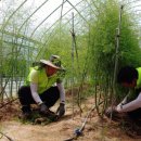 월송2농장 이미지