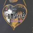 합천실내수영장 이미지