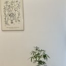 더 바사리 풀빌라 이미지