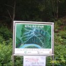 영동약국 이미지