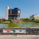 연동연대 이미지