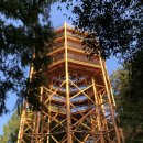 복수면사무소 | 전자휴 장태산 자연휴양림