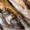 우성수산 이미지