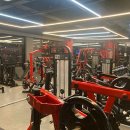 디나휘트니스 이미지