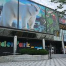 (주)동성원더파크 | [과천]실내 아이랑 가볼만 한곳, 원더파크 브레드이발소 방문 후기