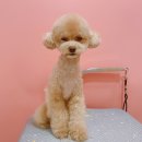 땅콩아 노올자 이미지