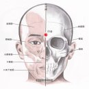 축농증 알레르기비염 편도염치료혈 이미지