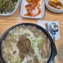 평양순대국 - 속초시 중앙로129번길 35-18 | 고기 양에 놀라고 맛에 두 번 놀라는 포천 국밥 평양순대국 후기