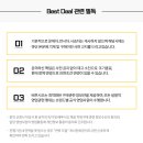 스테디독 이미지