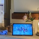 냥냥타코 이미지