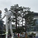 홈수산 - 광주시 경충대로 741 | 가락시장 즐거운수산 제철 모둠 회 포장 후기_홈파티