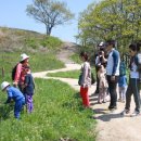 금화초등학교 이미지