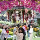 진흥꽃화원 이미지