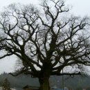 와룡목욕탕 이미지