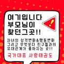 국가대표 태권도 키즈 네이버블로그