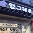 [옥정]우리집 댕댕이 옷&소품 만들기 | 멍그레츄 / 강아지 수제간식 클래스 / 수제간식 원데이 클래스 / 은평구 반려견 수제간식 / 강아지 피자...