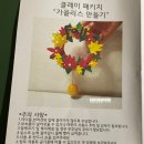 클레이솔