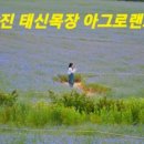 선구목장 이미지