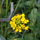 이레정비 이미지