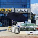 영희네수산물 이미지