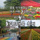 (주)이월팜 | 봄을 만끽 대구 튤립명소 이월드 백만송이 튤립정원 축제 정보