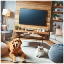 파파공인중개사사무소 이미지