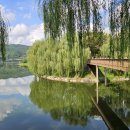 한반도섬 이미지