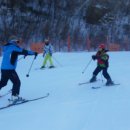 대마초등학교 이미지