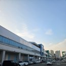 명주수산 | 수원 농수산물도매시장 줄전갱이회 포장 후기, 창대수산