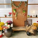 청은농장 이미지