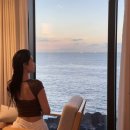 이지갤러리관광호텔 | [제주도 데이트] 제주 오션뷰 호텔 신라스테이 이호테우 후기 제주도 관광 명소 (42만원)
