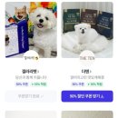 요세라코리아 이미지