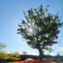 (주)연휘 | 순천만국가정원ㆍ순천만습지