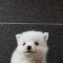 멋지개 예쁘개 이미지